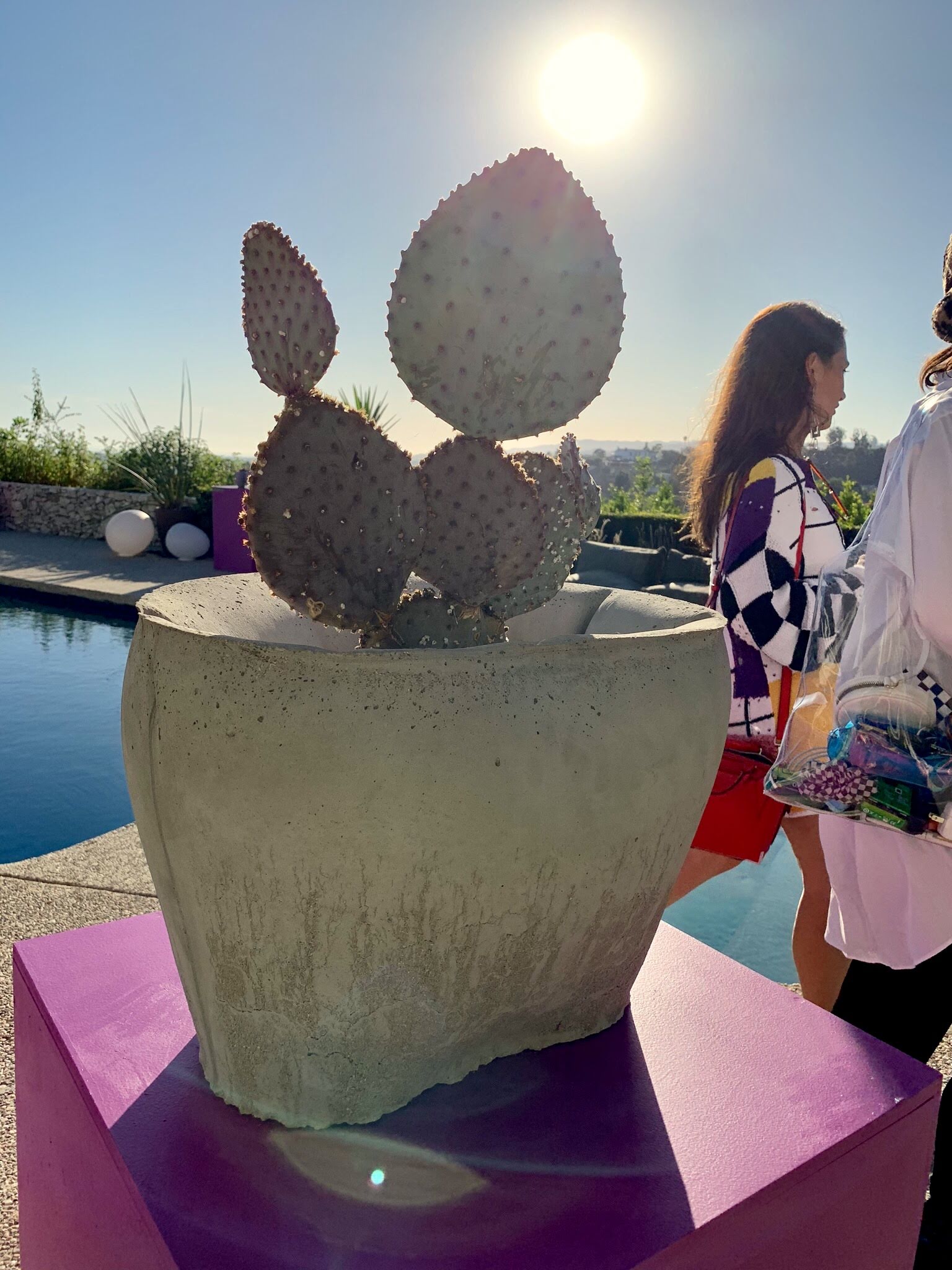 Thomas Burns Object Permanence Succulent Planter at Casa Perfect